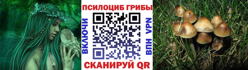 Псилоцибиновые грибы прущие грибы  Королёв 